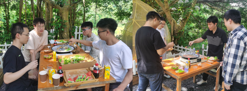國微|微電子|芯片