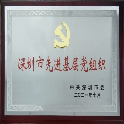 百年華誕，喜獲殊榮——國(guó)微電子黨總支榮獲“深圳市先進(jìn)基層黨組織”稱號(hào)