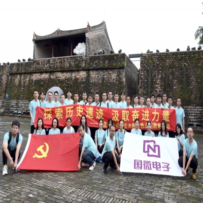 探索歷史遺跡，汲取奮進力量——國微電子黨總支大鵬紅色主題教育活動